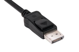 DisplayPort Cable Ver. 1.2 21.6 Gbps