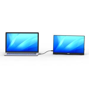 Portable Monitor - 15.6in Non Touch - 1920x1080 (Full HD)