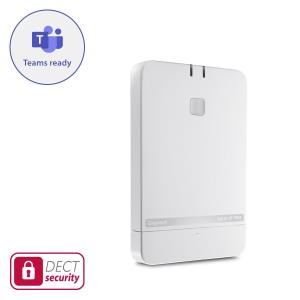 N610 IP pro - Base Station - Voice-over-IP