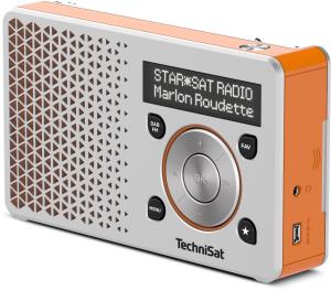 DigitRadio 1 Silver/Orange