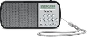 TechniRadio RDR Silver