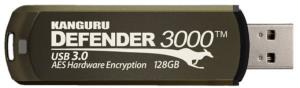 Defender 3000 128GB FIPS 140-2 Level 3 Super Speed Hardware Encrypted Flash Drive