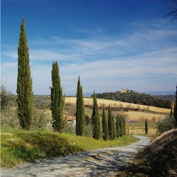 Slim Filter Cpl Coated 52mm Black