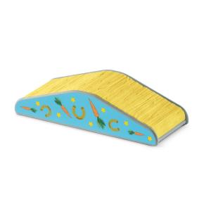 Pony Agility Training