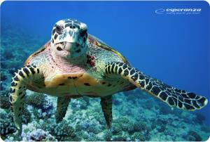 Mouse Pad Multicolor (ea133)