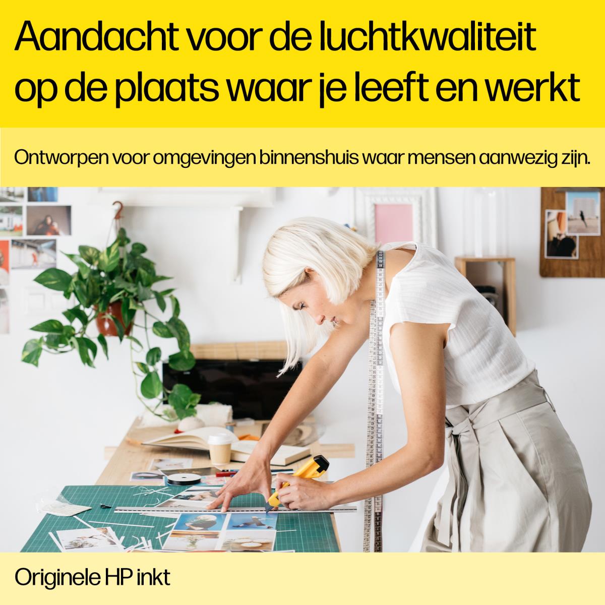 11647592_Icat_4.jpg