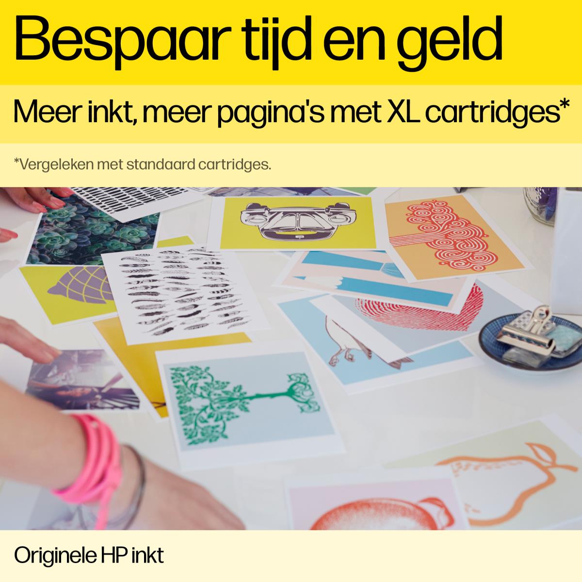 11647592_Icat_8.jpg