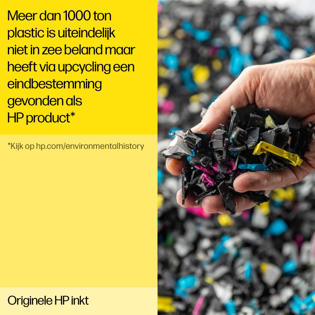 11647593_Icat_6.jpg