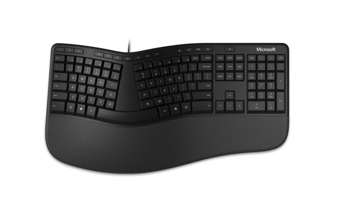 Clavier Microsoft Wired Keyboard 600 USB (Noir) - Microsoft