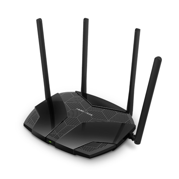 X9222016_Icat_4.jpg