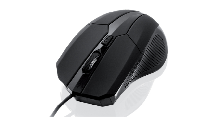 Z1732045_Icat_1.jpg