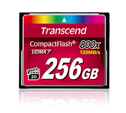 Cf Card Cf800 256GB 800x Premium