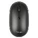 Antimicrobial Comp Dual Wireless Optical Mouse