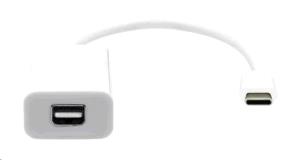 USB-C to Mini DP - 20cm - White